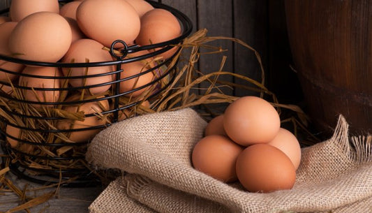 Ce que les oeufs disent sur vos poules - Ma Poule Express