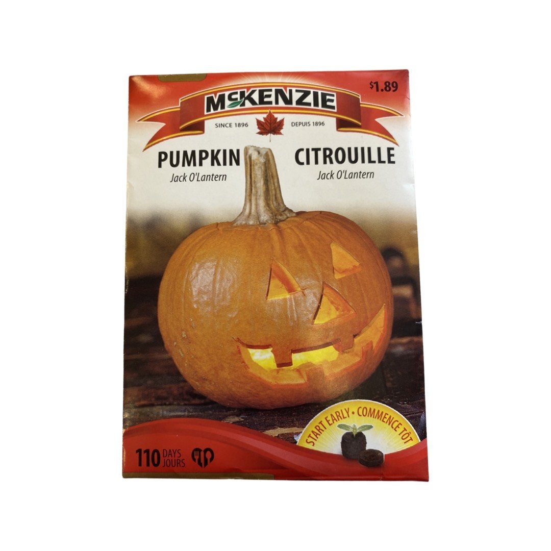 1,89$ - Graines de Citrouille ( Jack O'Lantern ) - Ma Poule Express