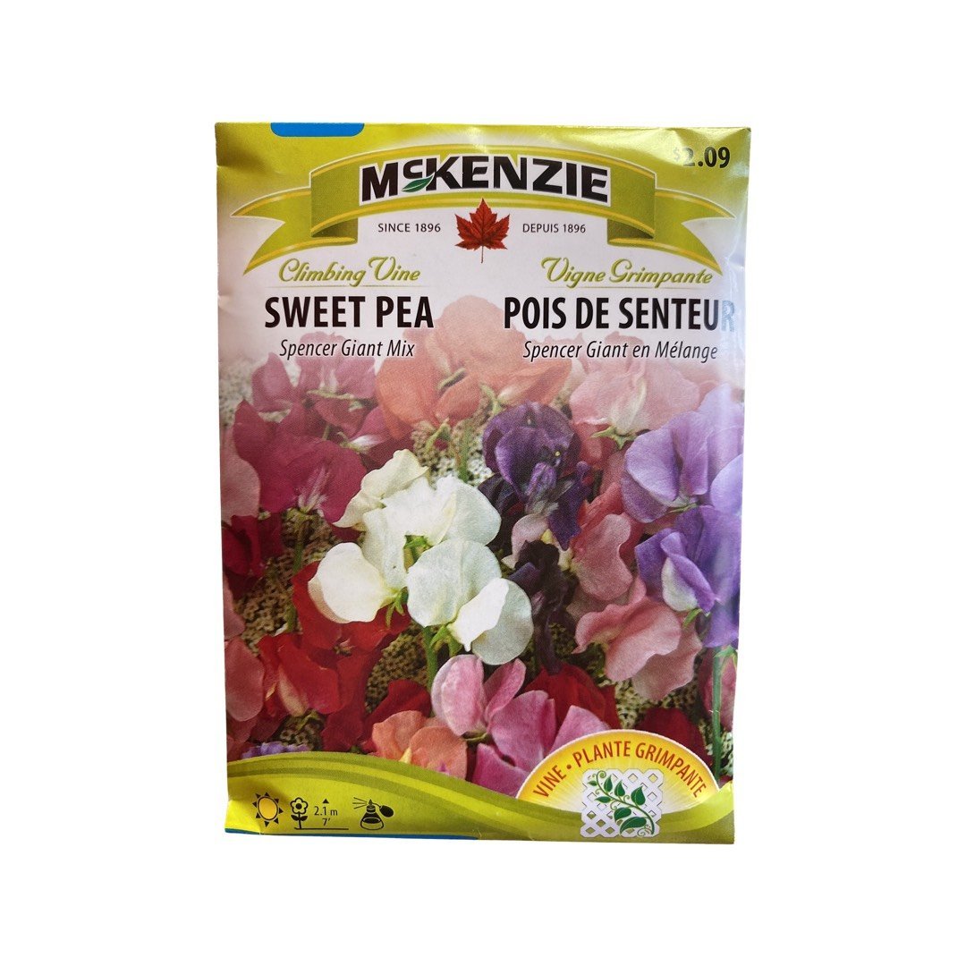 Sweet Pea Seeds (Spencer Giant Mix) – Ma Poule Express