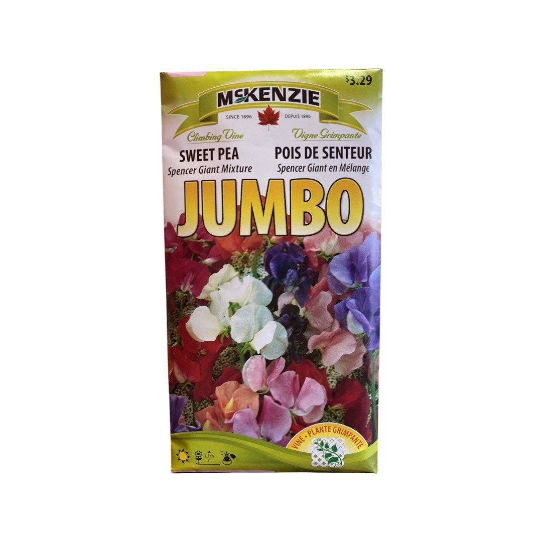 JUMBO Sweet Pea Seeds (Spencer Giant Mix) – Ma Poule Express