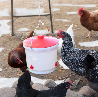 Abreuvoir chauffant à tétines - Farm Innovators - 2 gallons - Ma Poule Express