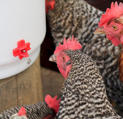 Abreuvoir chauffant à tétines - Farm Innovators - 2 gallons - Ma Poule Express