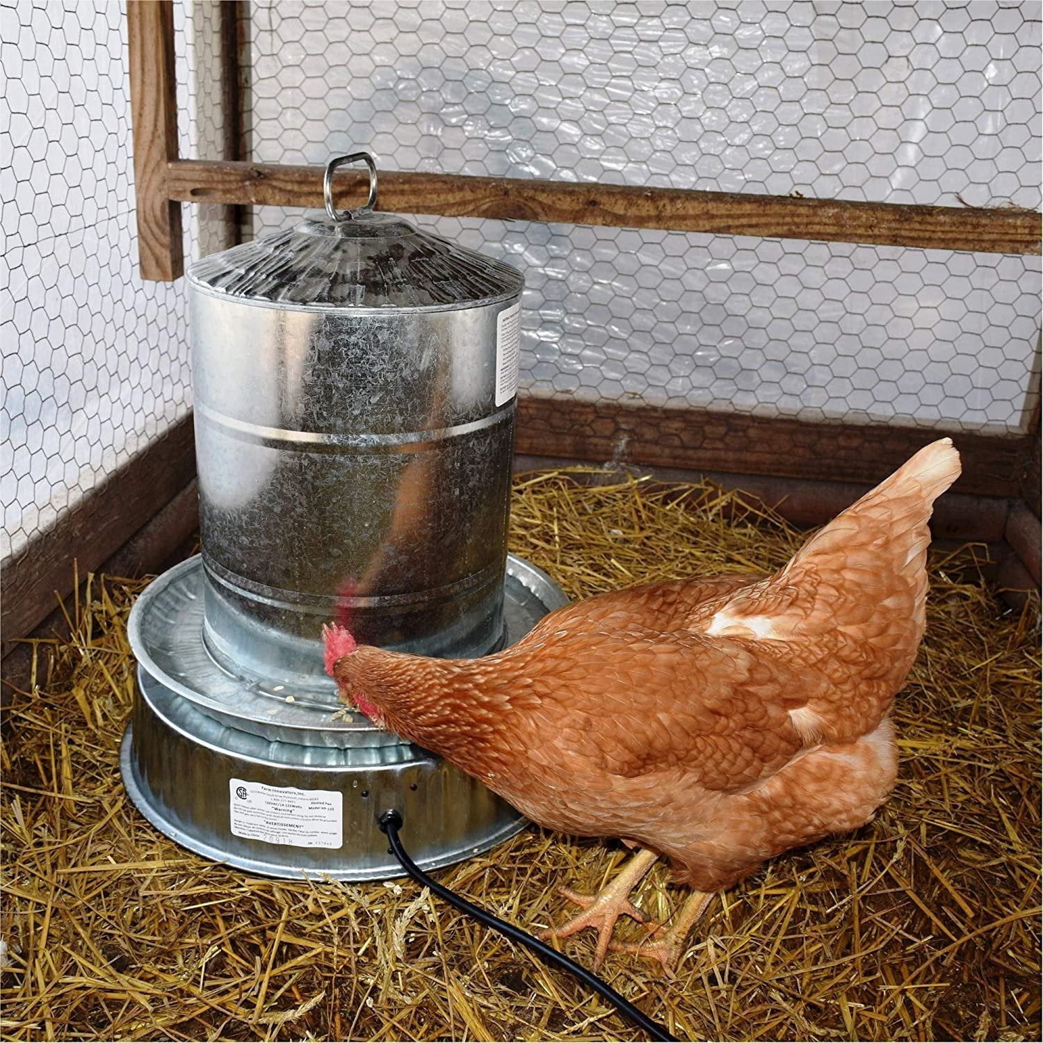 Base chauffante pour abreuvoir à volaille, 125 W - Farm Innovators - Ma Poule Express