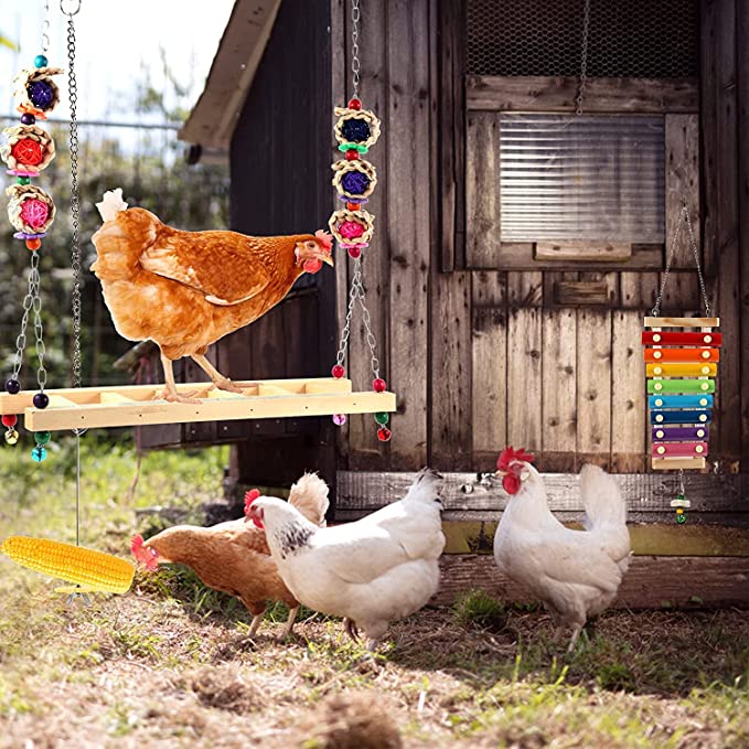 Jouets d'Enrichissements - Ma Poule Express