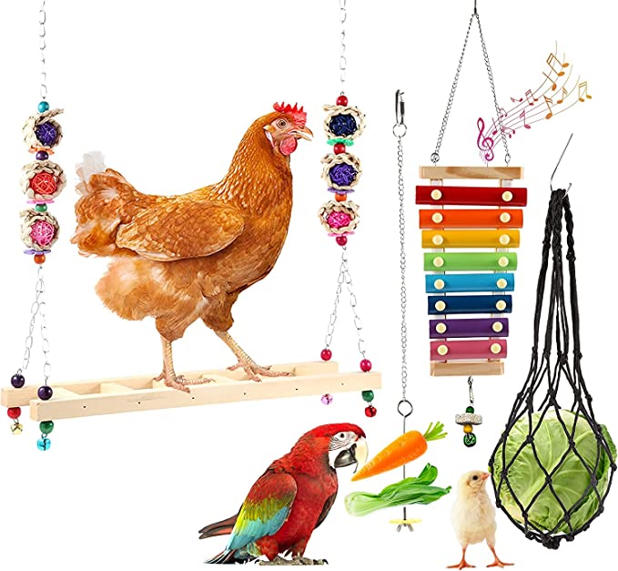 Jouets d'Enrichissements - Ma Poule Express