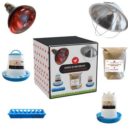 Kit d'Élevage pour Poussins Complet - Ma Poule Express™ - Ma Poule Express