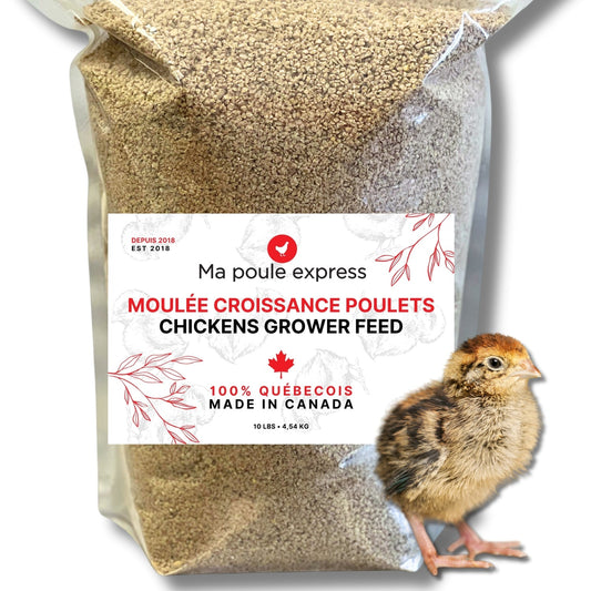 Moulée Croissance Poulet (Poussins) 10 LBS - Ma Poule Express