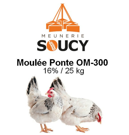 Moulée Ponte OM - 300 - 16% - 25 kg - Soucy (Non Taxable) - Ma Poule Express