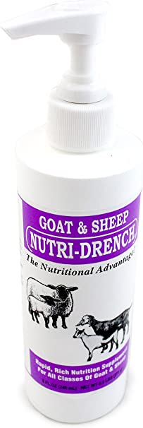 Nutri - Drench Goat and Sheep - Ma Poule Express