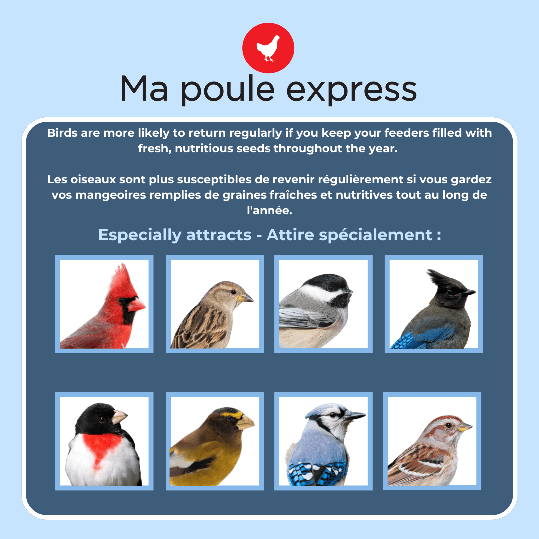 OFFRE GRATUITE - Moulé pour oiseaux toutes saison 15 LB + Mangeoire 5.5 LB - Ma Poule Express