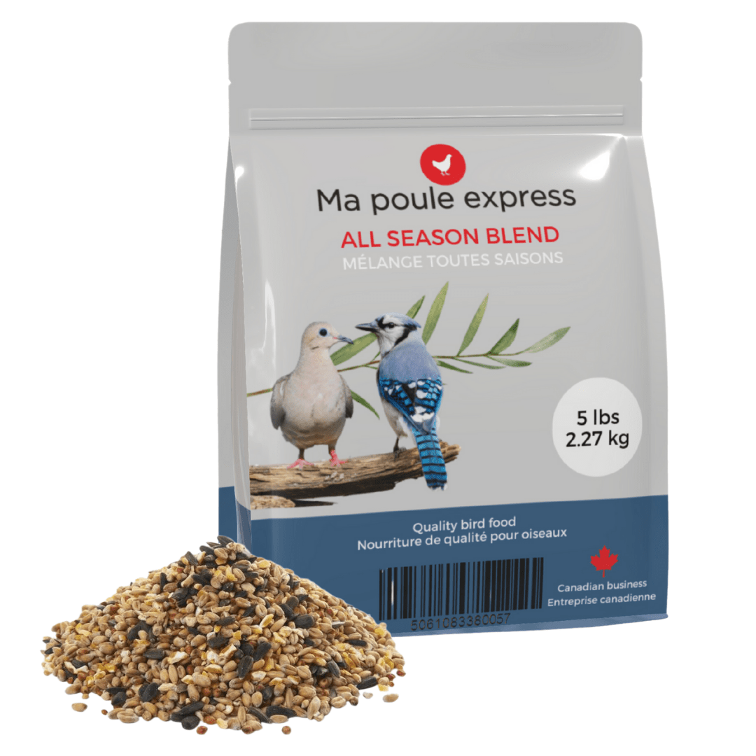 OFFRE GRATUITE - Moulé pour oiseaux toutes saison 15 LB + Mangeoire 5.5 LB - Ma Poule Express