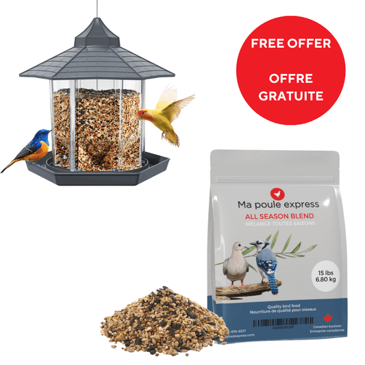 OFFRE GRATUITE - Moulé pour oiseaux toutes saison 15 LB + Mangeoire 5.5 LB - Ma Poule Express