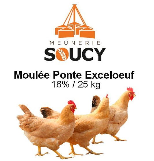 Ponte Exceloeuf - 16% - 25 kg - Soucy (Non Taxable) - Ma Poule Express