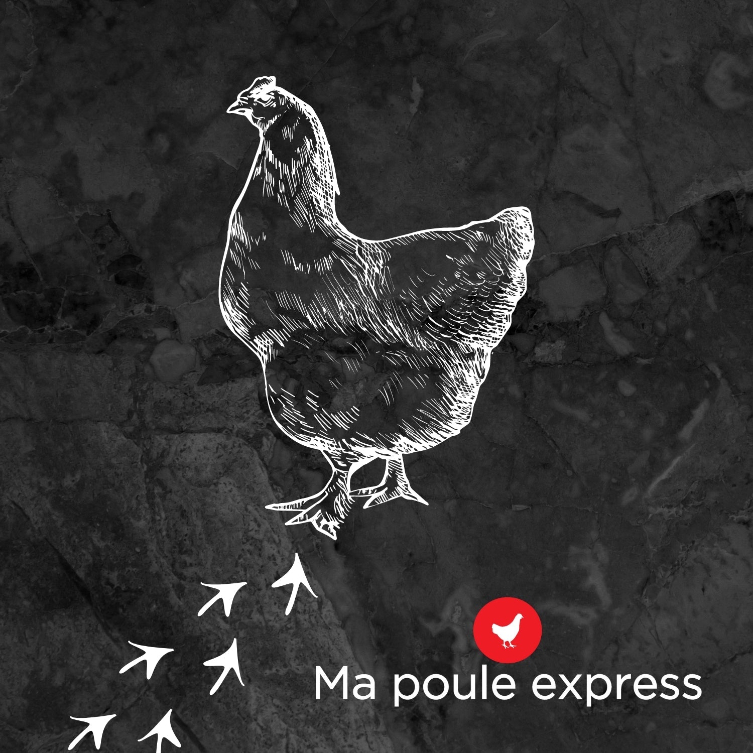 Terre de diatomée - Grade alimentaire - Ma Poule Express