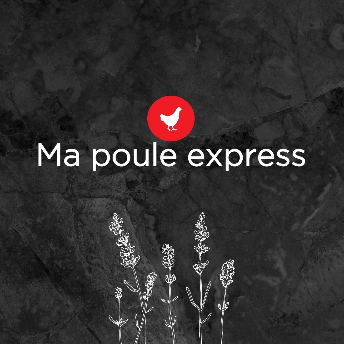 Terre de diatomée - Grade alimentaire - Ma Poule Express