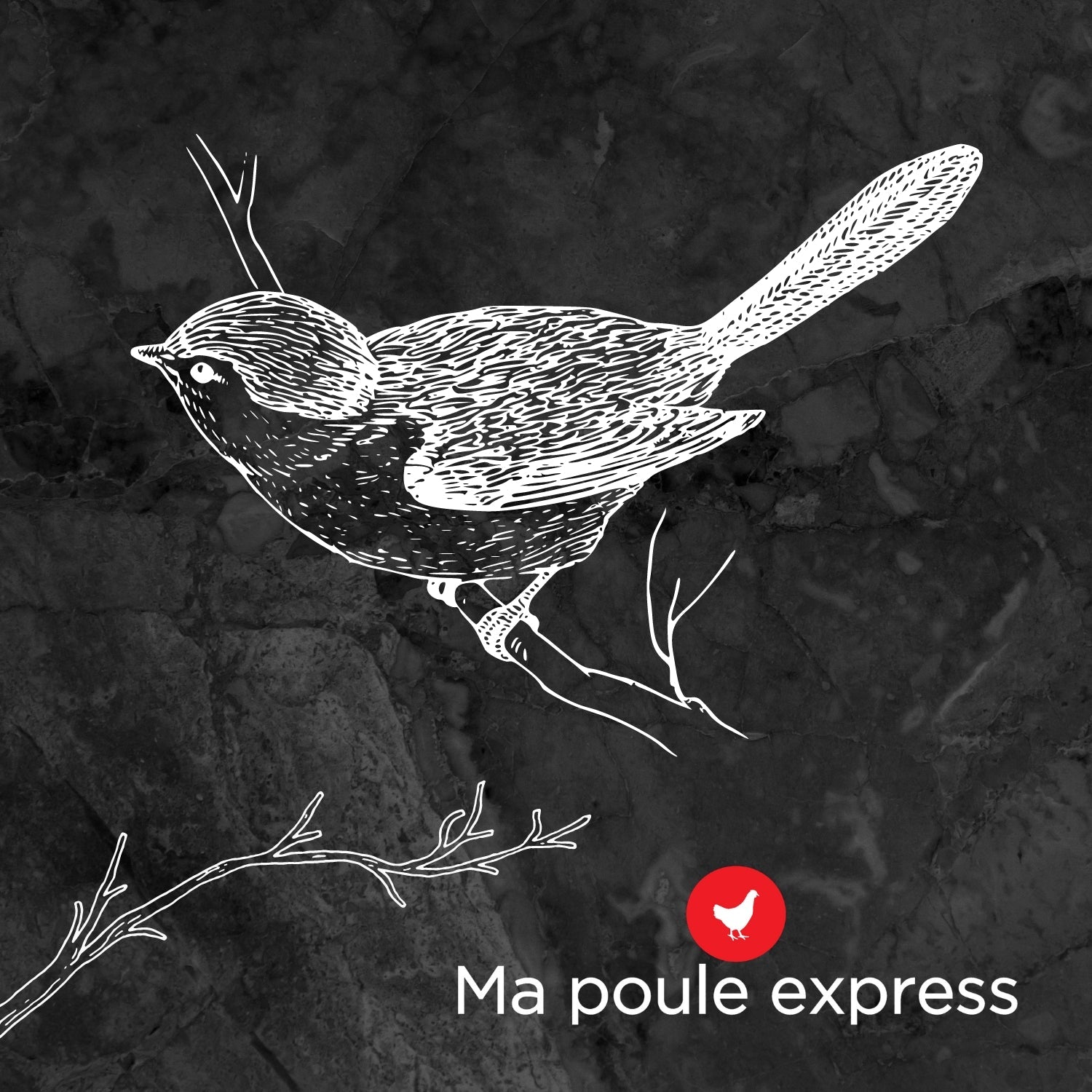 Terre de diatomée - Grade alimentaire - Ma Poule Express