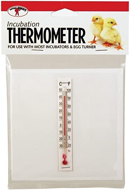 Thermomètre Little Giant - Ma Poule Express