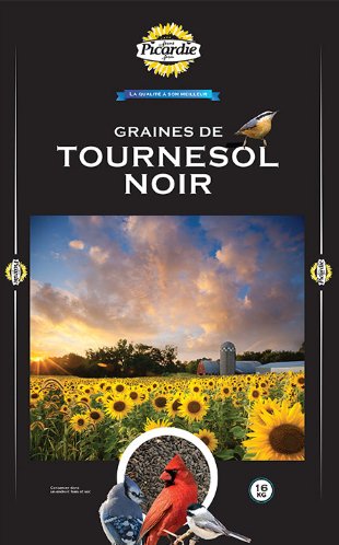 Tournesol noir - Ma Poule Express